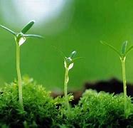 grow apart
